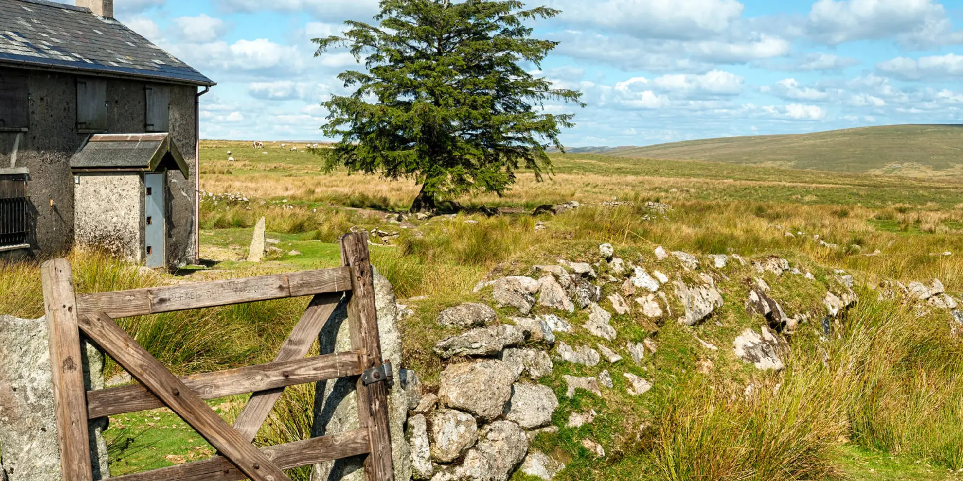 An image depicting the trail Cross Gate to Nuns Cross via Leather Tor and its surrounding area.