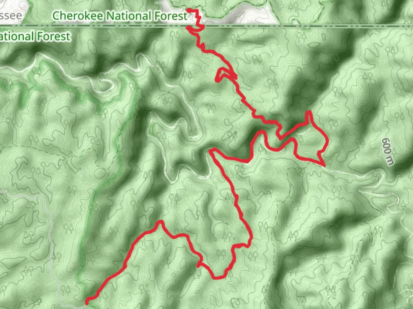 An image depicting the trail Jacks River and Rice Camp Trail and its surrounding area.