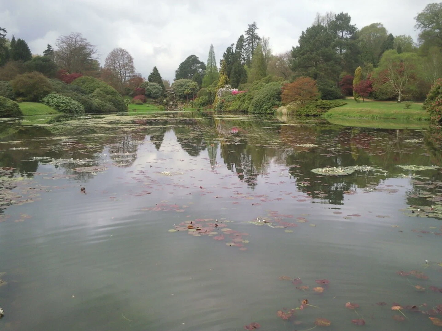 An image depicting the trail Sheffield Park Loop and its surrounding area.