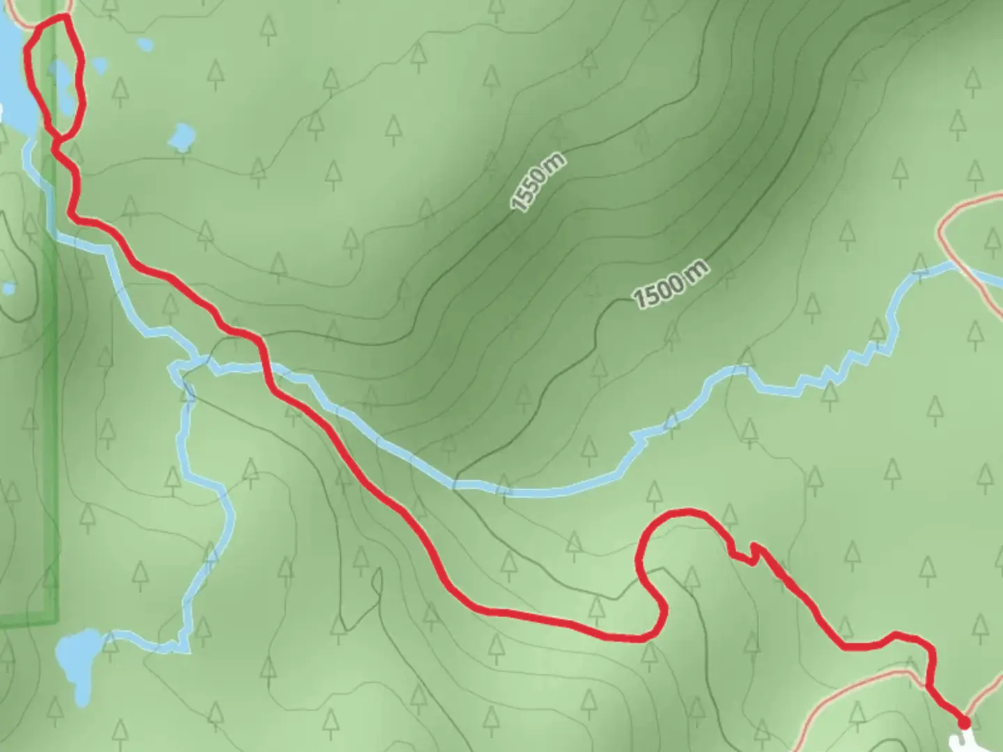 An image depicting the trail Benson Lake Trail Out and Back and its surrounding area.