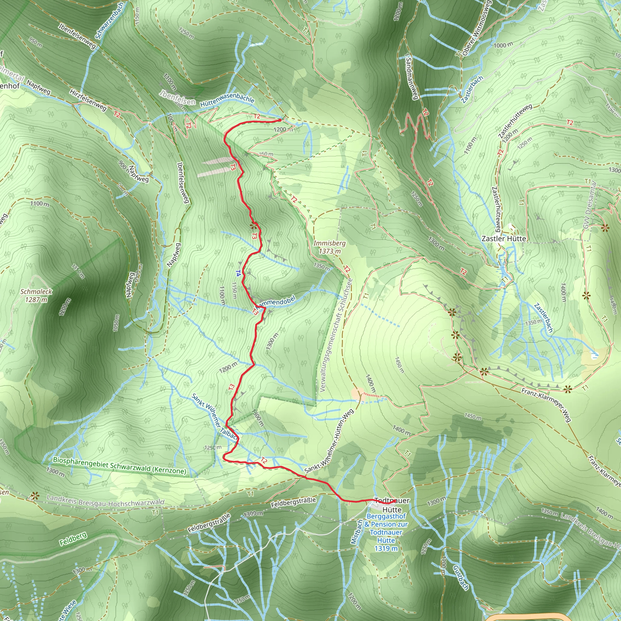 Alpiner Pfad mobile static map