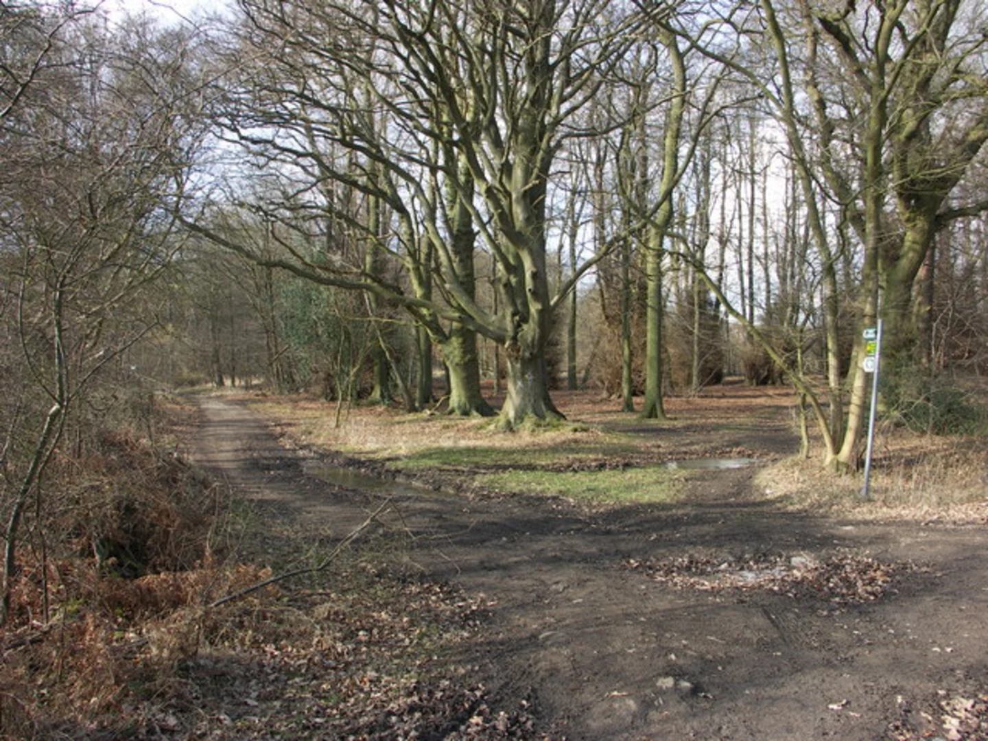 An image depicting the trail Chisley Wood, Bacombe Hill LNR and Welcome to Bacombe Hill and its surrounding area.