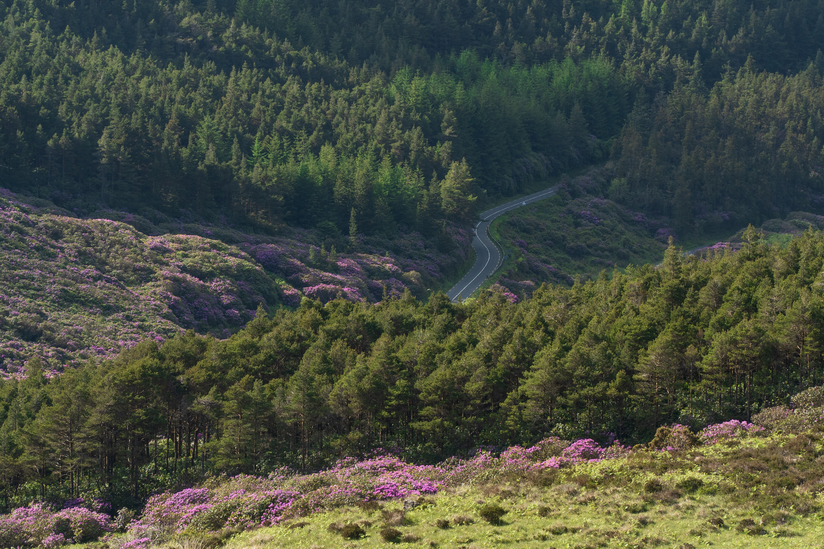 An image depicting the trail Knockmealdown Trails - Knockmealdown Trail and its surrounding area.