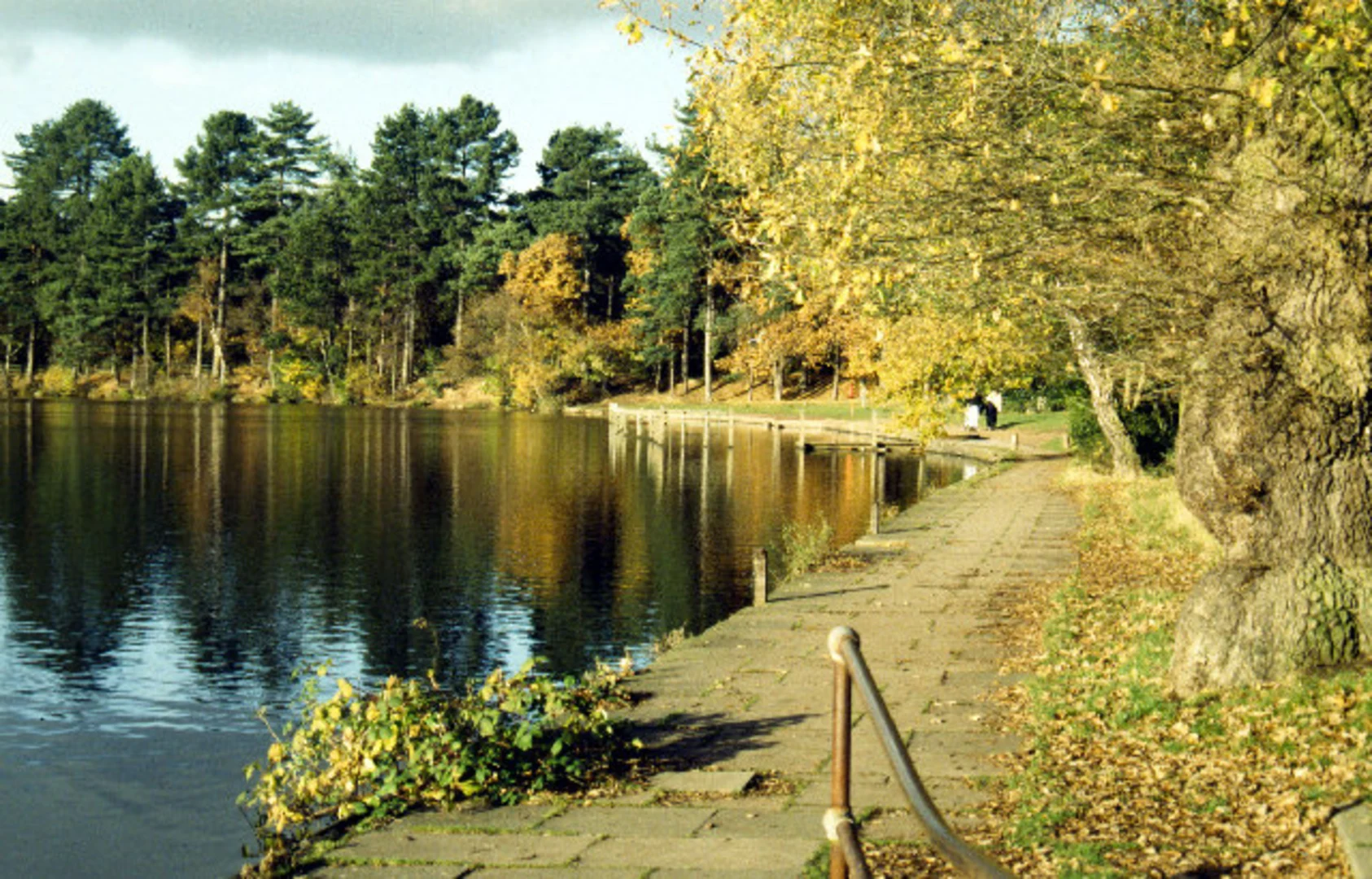 An image depicting the trail Sutton Park Loop from Streetly Station and its surrounding area.