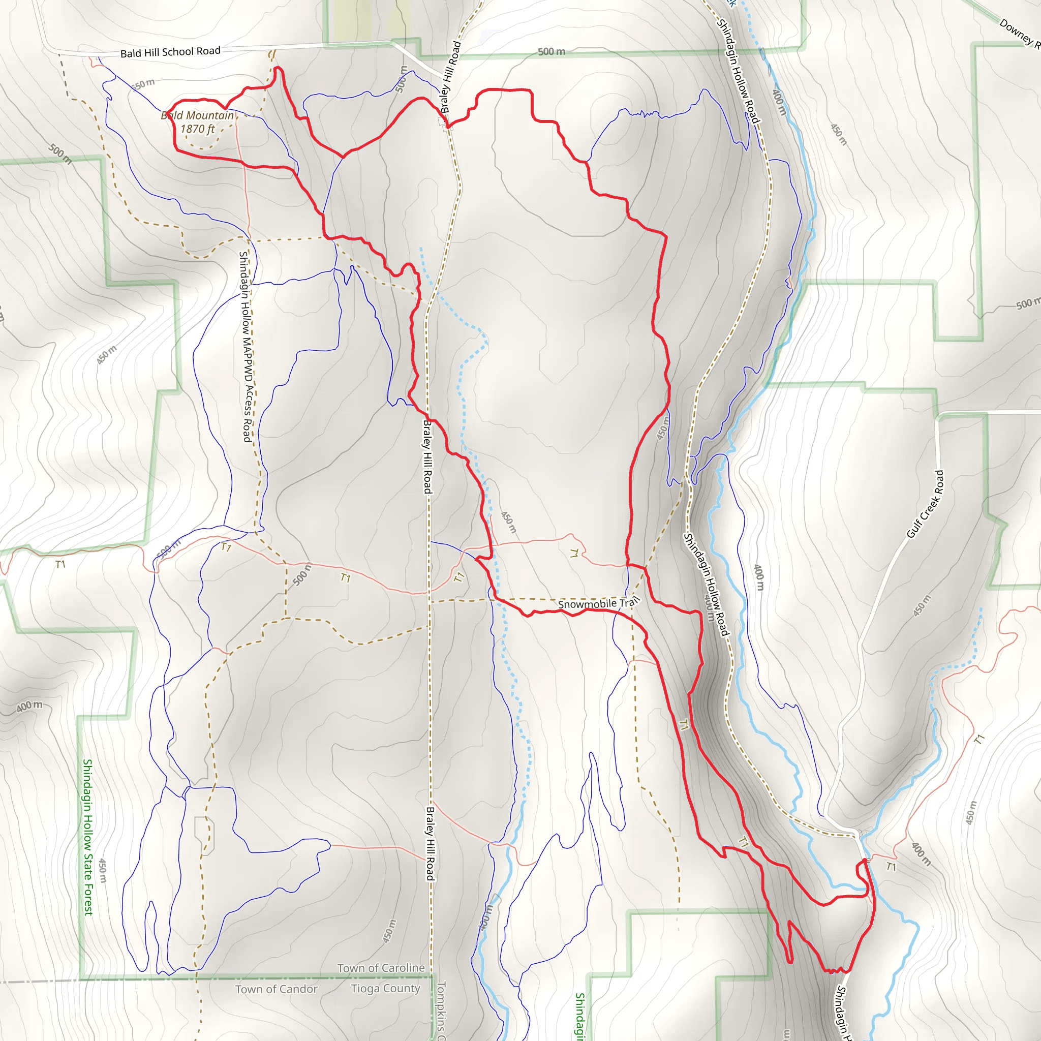 Bald Mountain Loop via Finger Lakes - North Country Trail mobile static map