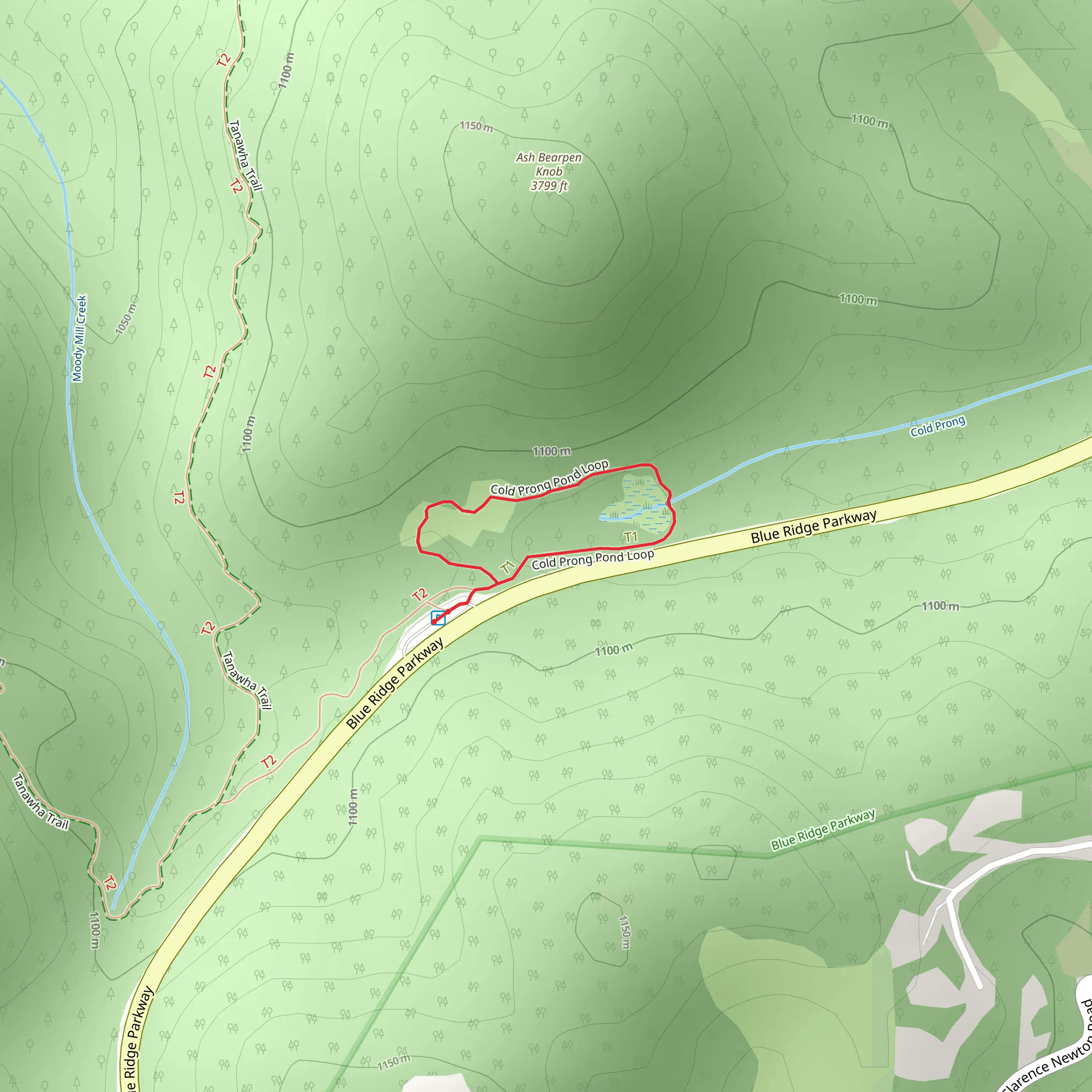 Cold Prong Pond Loop mobile static map