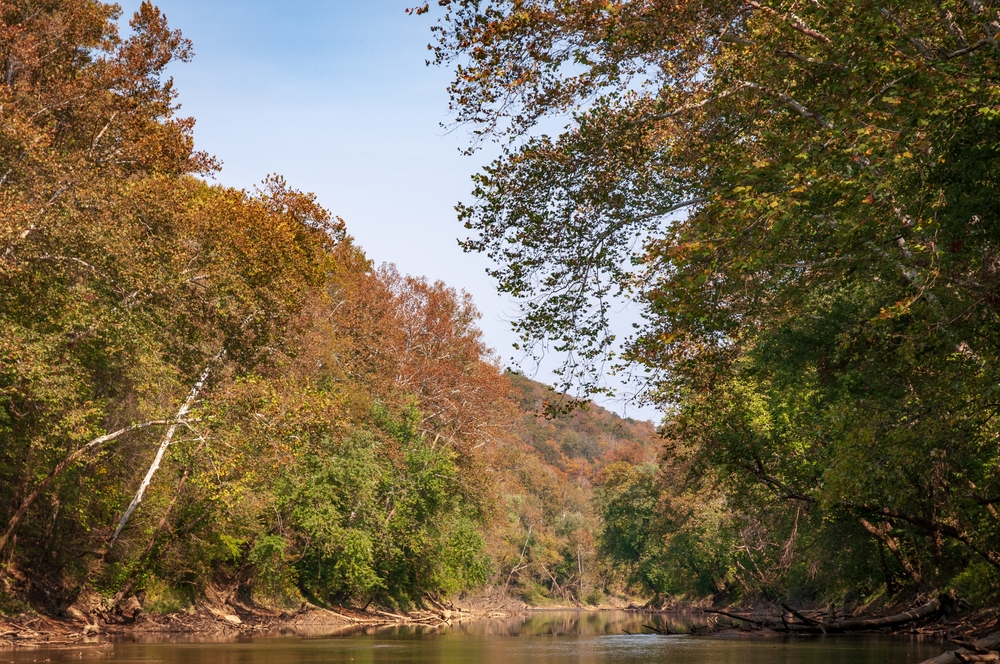 An image depicting the trail Mammoth Cave National Park and its surrounding area.