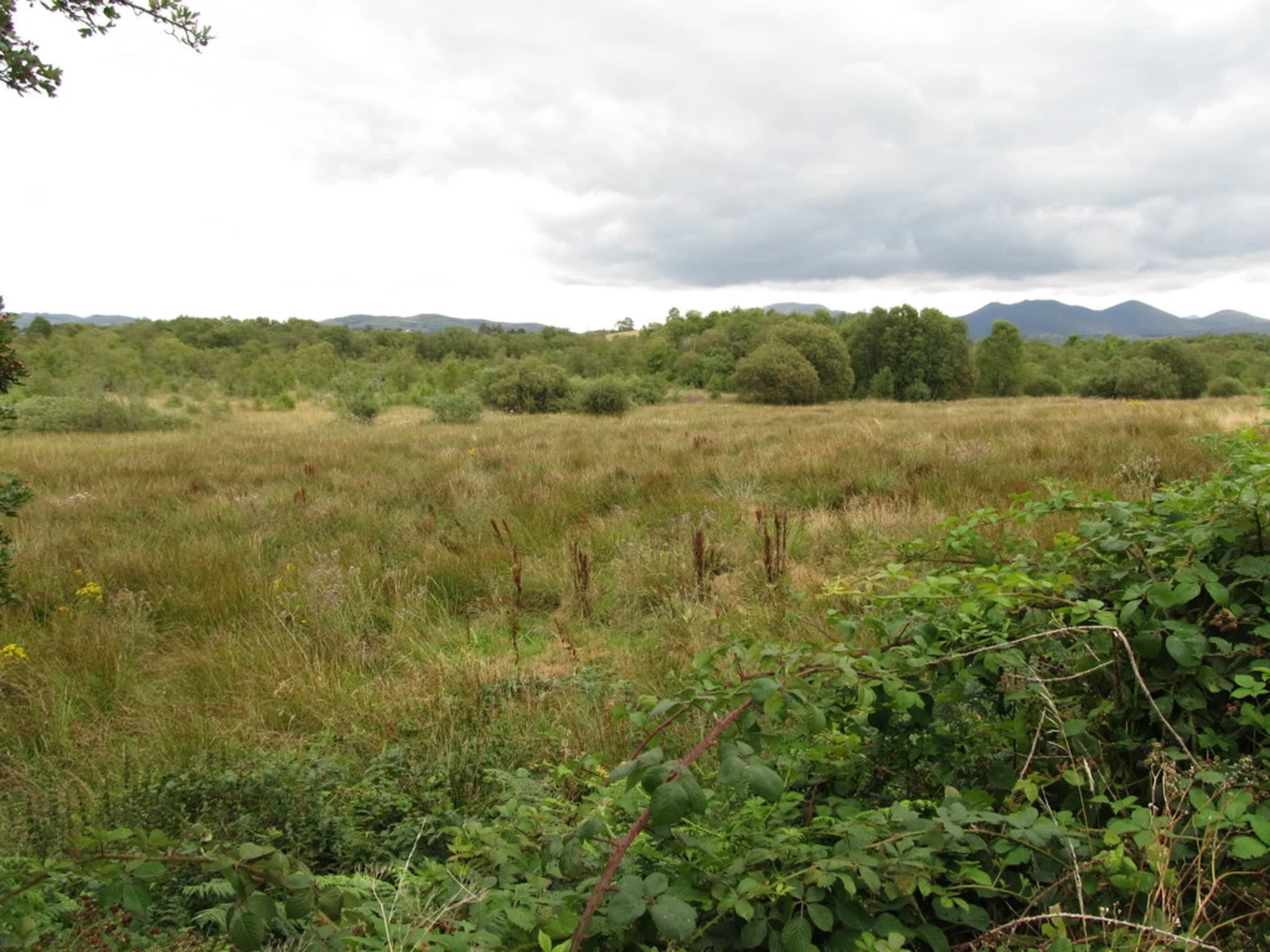 An image depicting the trail Lackan Bog and High Road skirting Bog and its surrounding area.