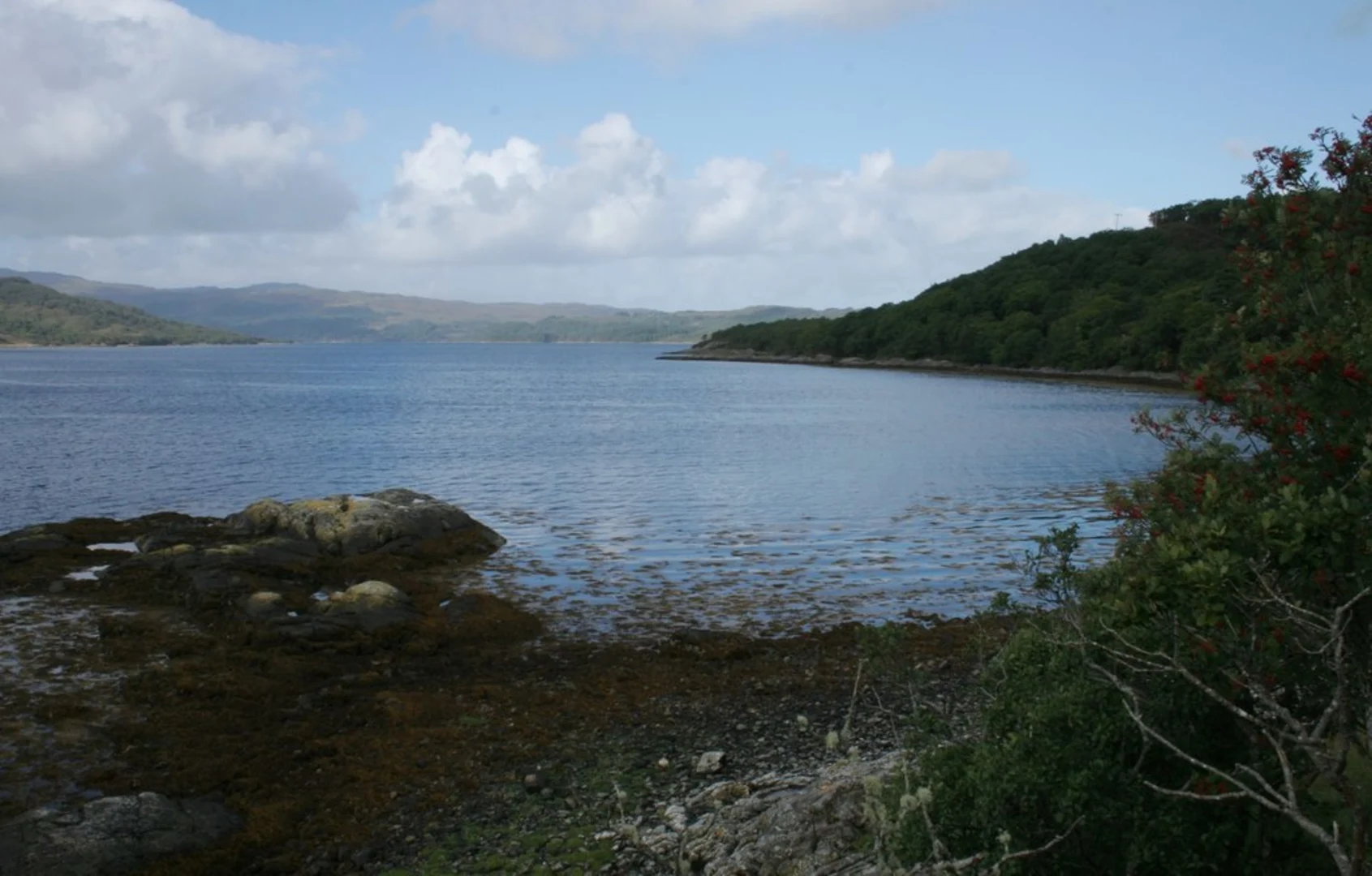 An image depicting the trail Garbh Eilean Wildlife Hide Trail and its surrounding area.