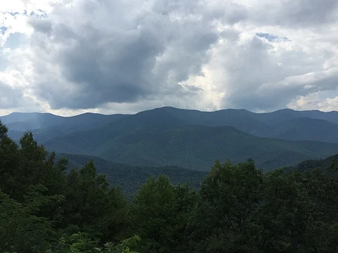 An image depicting the trail Mackey Mountain and Narrows Knob Trail and its surrounding area.