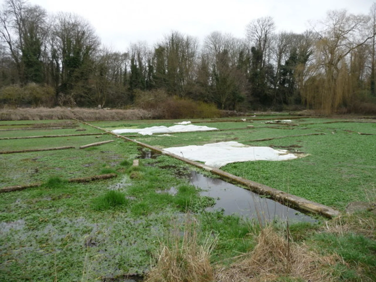 An image depicting the trail Whitchurch Loop and its surrounding area.