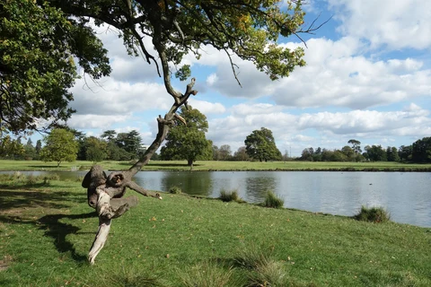 An image depicting the trail Langley Park County Park Loop and its surrounding area.