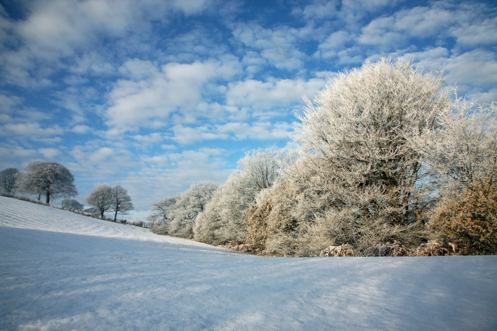 An image depicting the trail Kidsgrove to Stoke Ridgeway and its surrounding area.