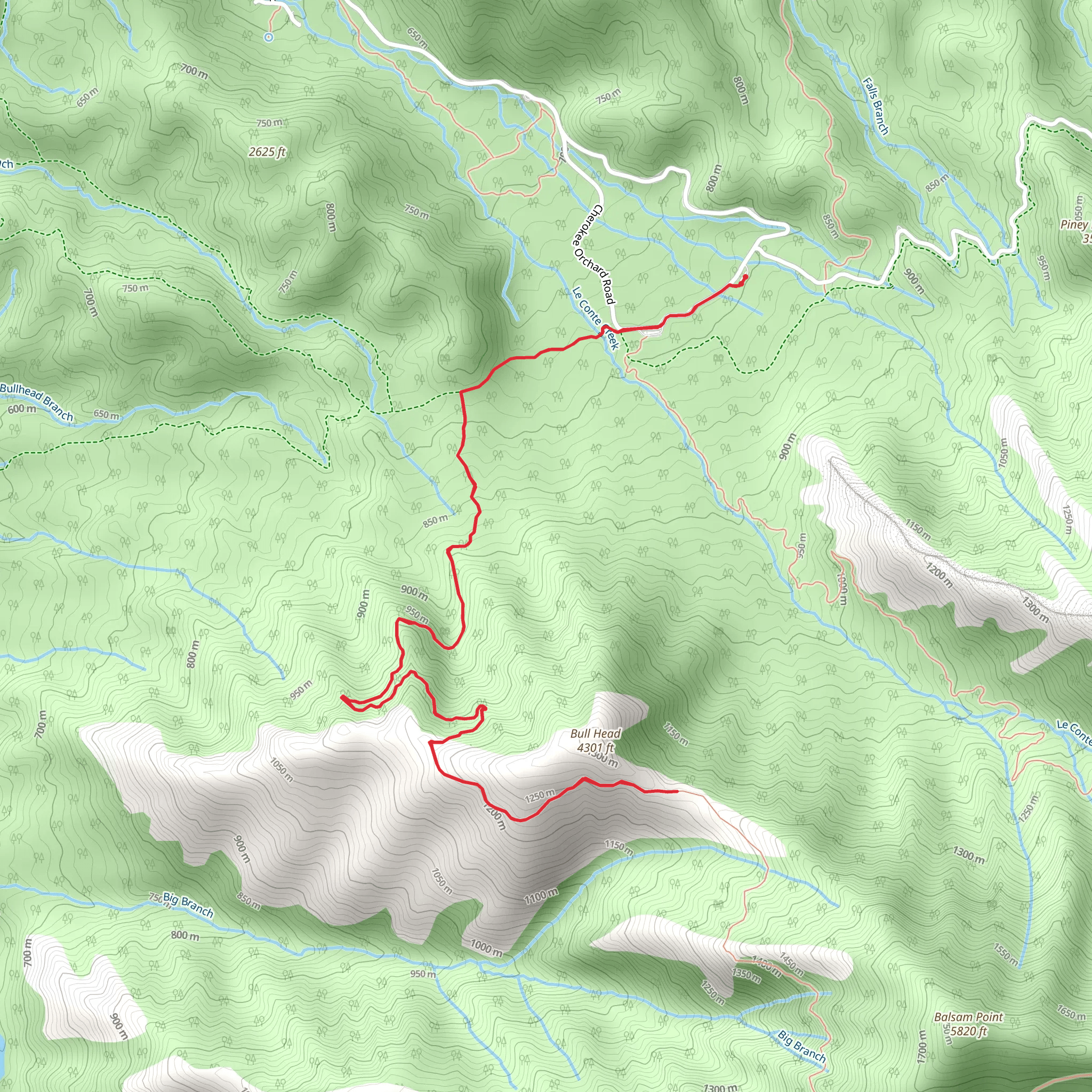 Bull Head Trail Out and Back mobile static map