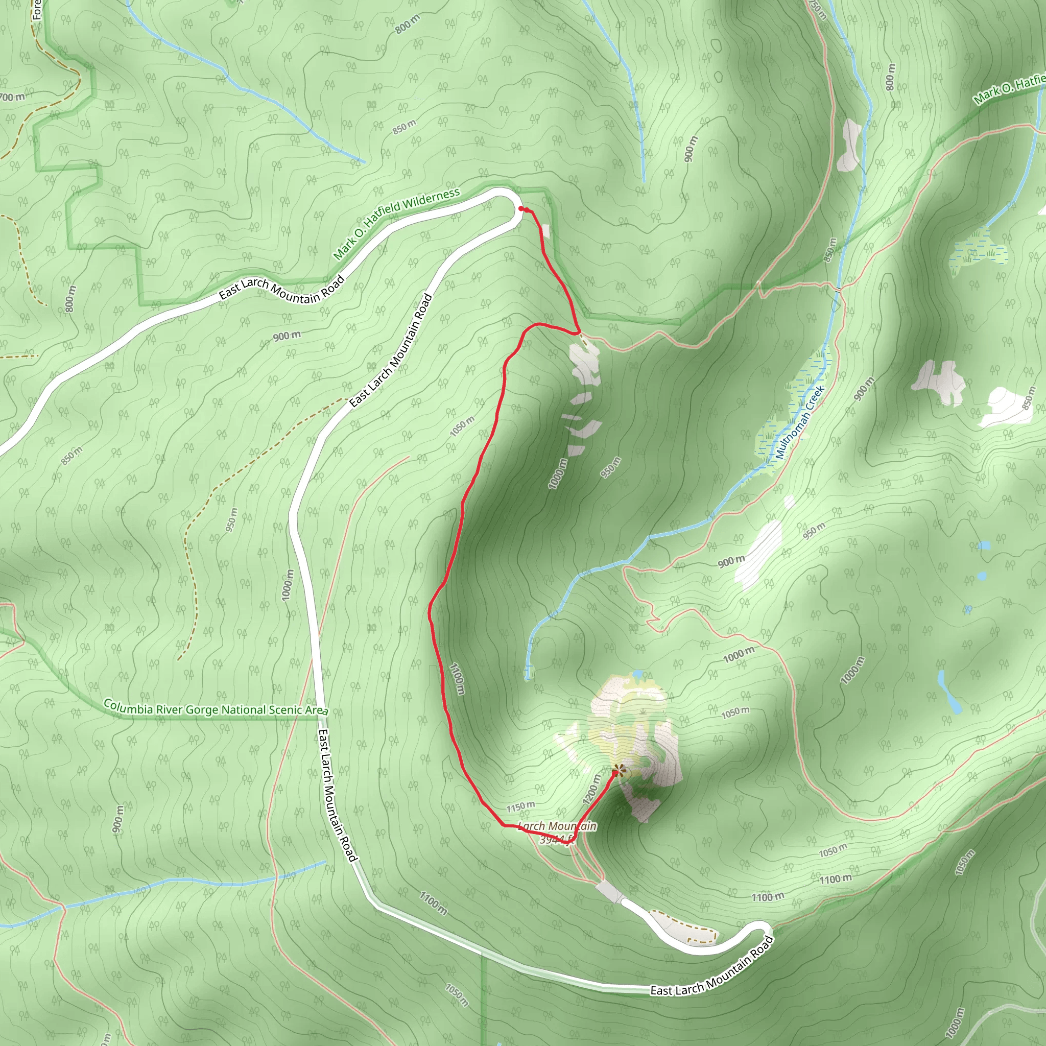 Larch Mountain Trail Out and Back mobile static map