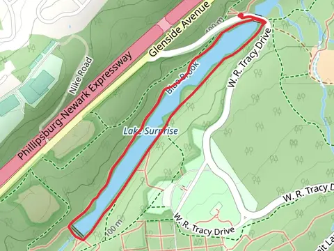 Lake Surprise - Purple and White Loop Trail