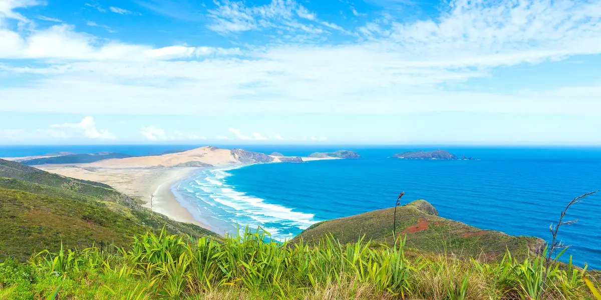 Twilight - Te Werahi Loop Track