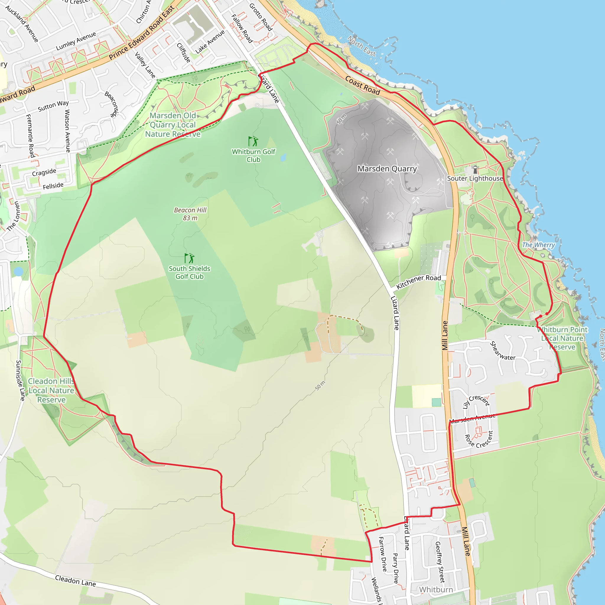 Lizard Point via Way of Learning mobile static map