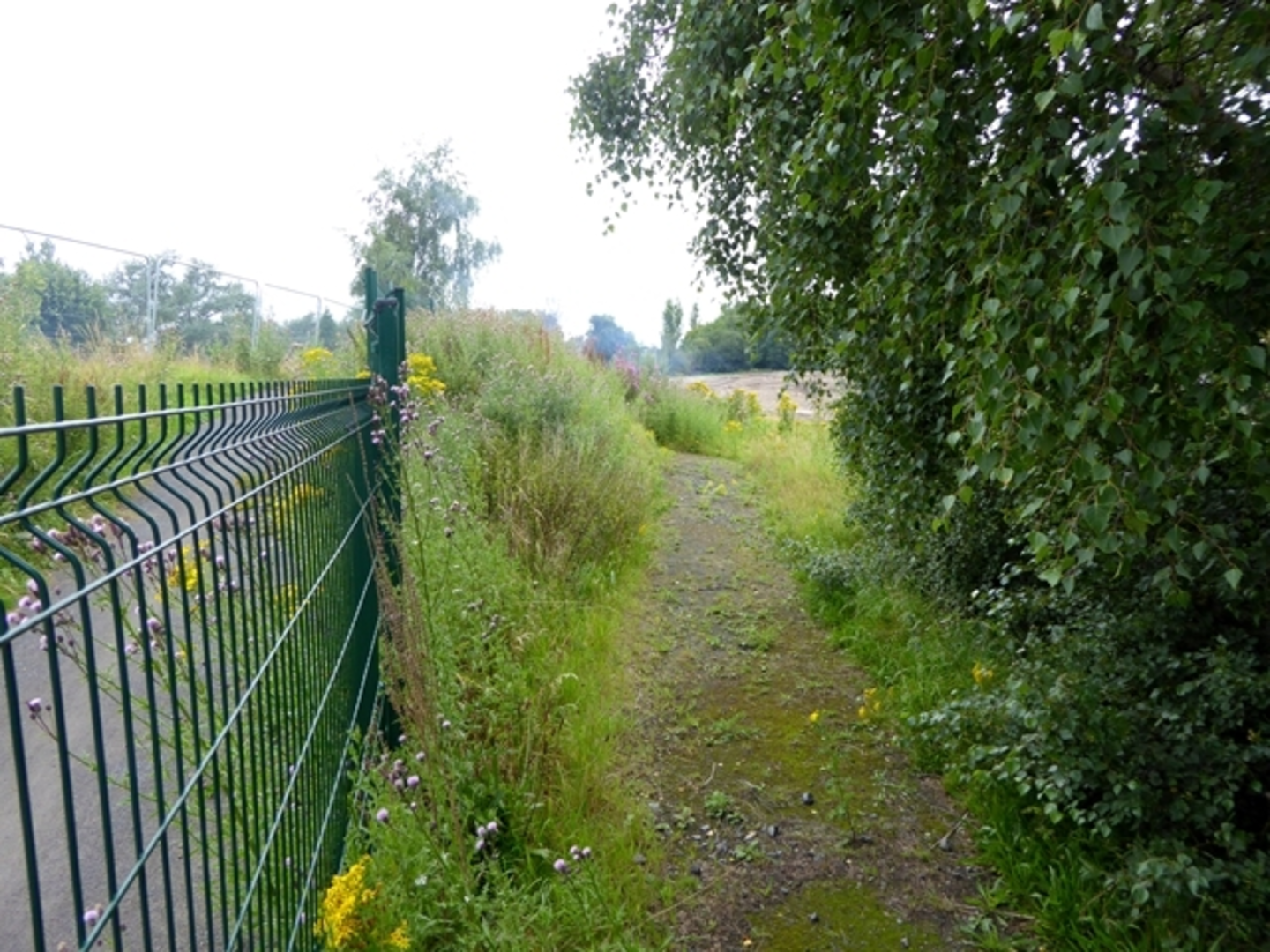 An image depicting the trail Newburn to Wylam Loop Walk and its surrounding area.