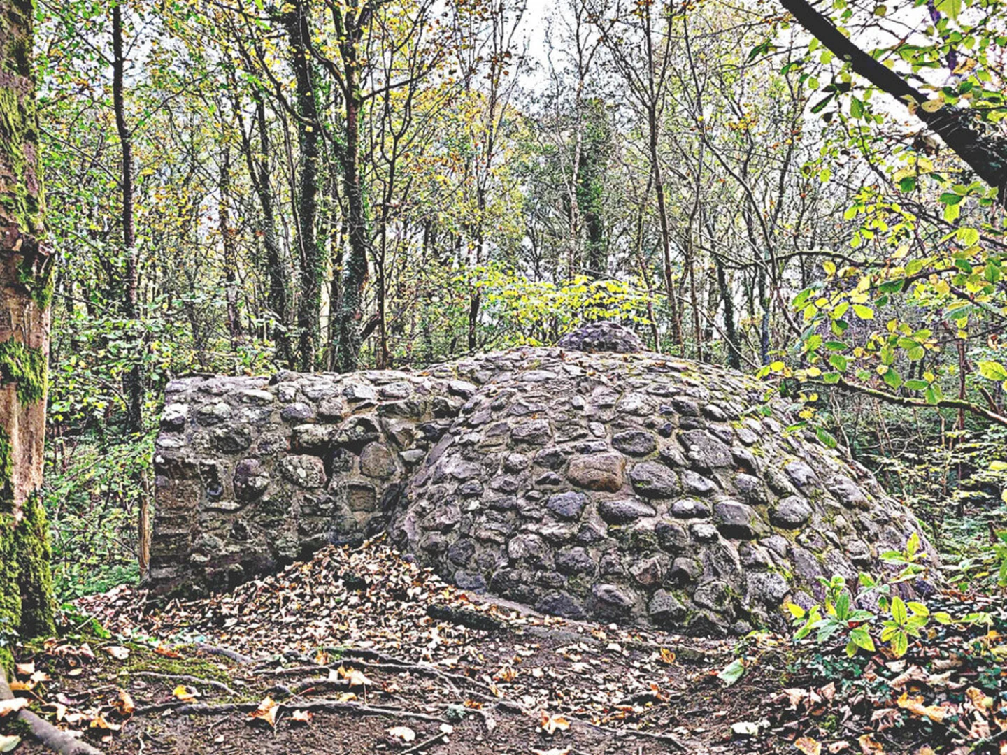 An image depicting the trail Eglinton Country Park Loop and its surrounding area.
