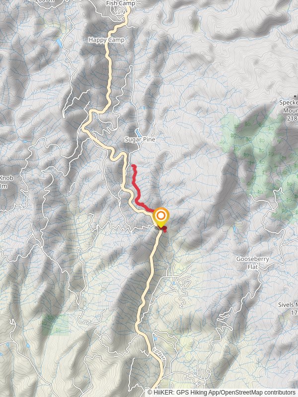 Lewis Fork and Lewis Creek Trail