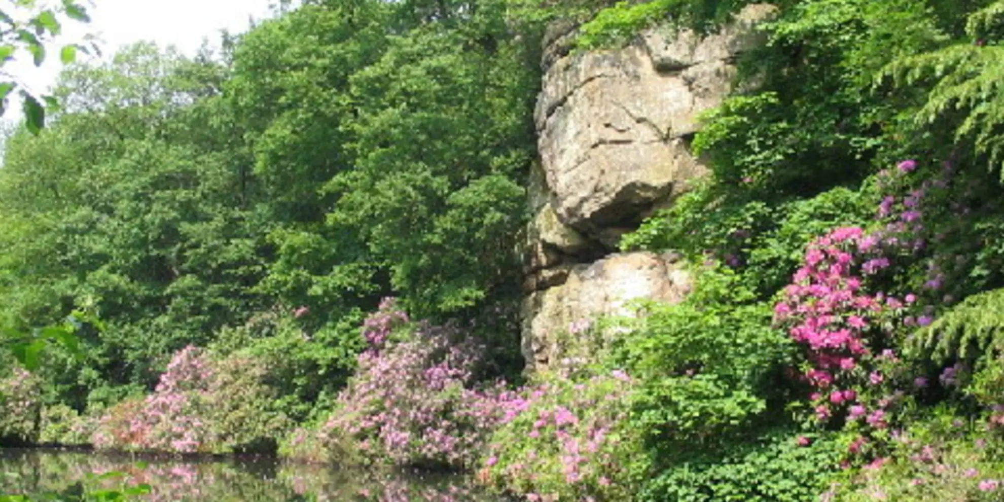 An image depicting the trail Ripon Rowel Walk Leg 3 - Sawley to Ilton and its surrounding area.