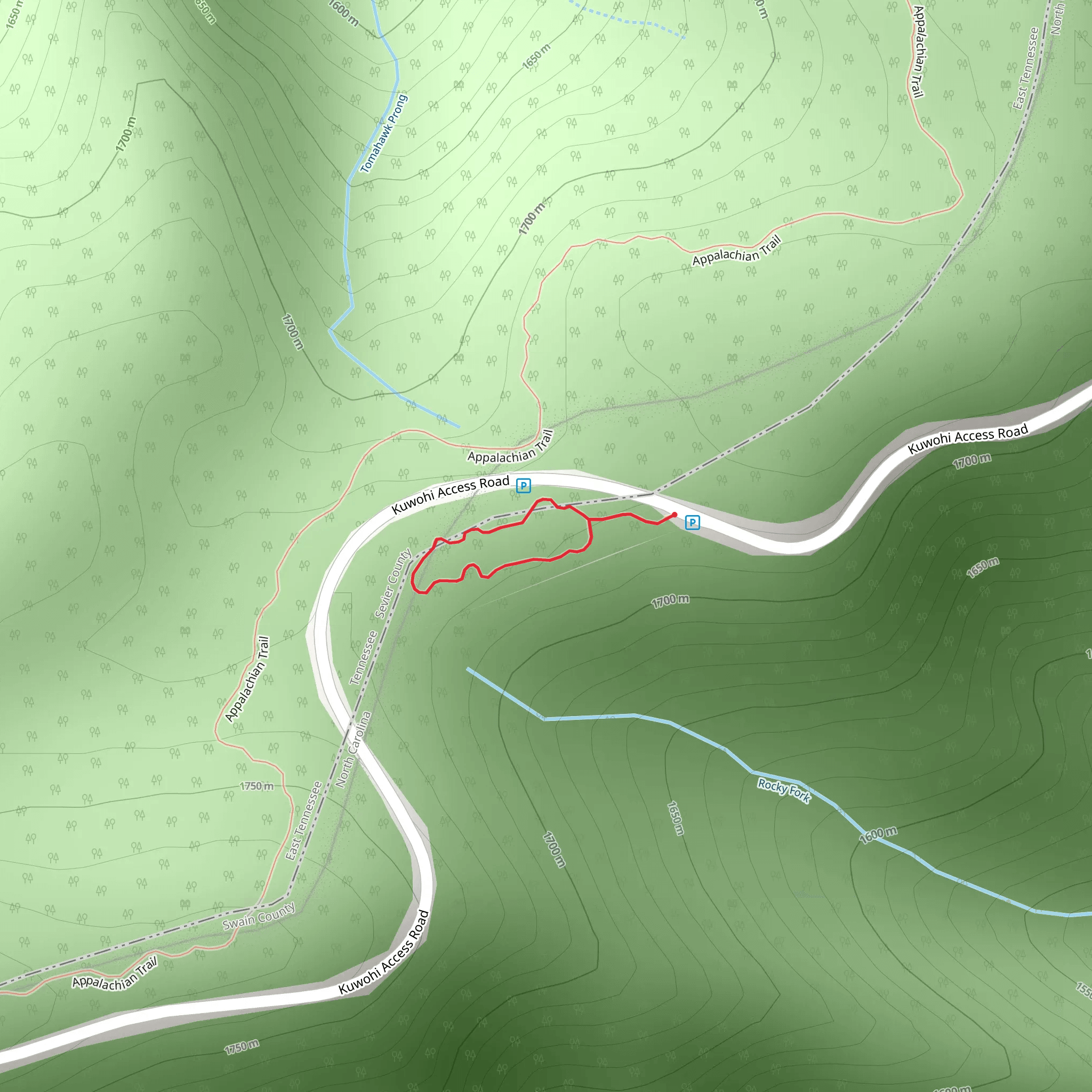 Spruce Fir Nature Loop Trail mobile static map