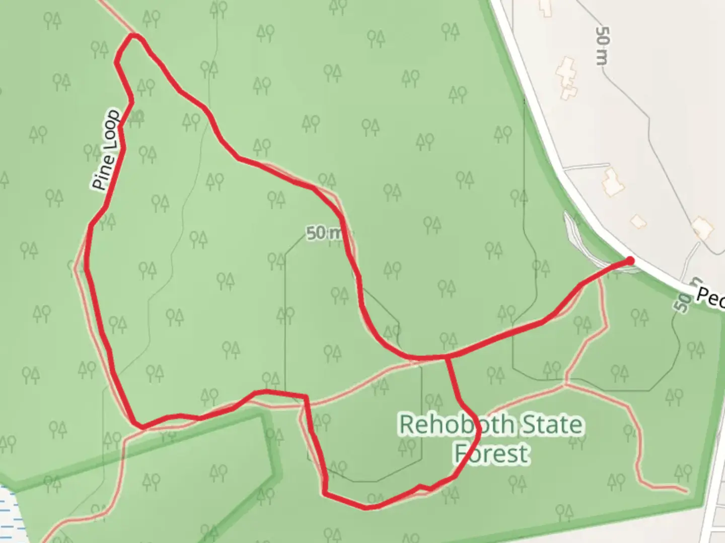 An image depicting the trail Rehoboth State Forest Loop Trail and its surrounding area.