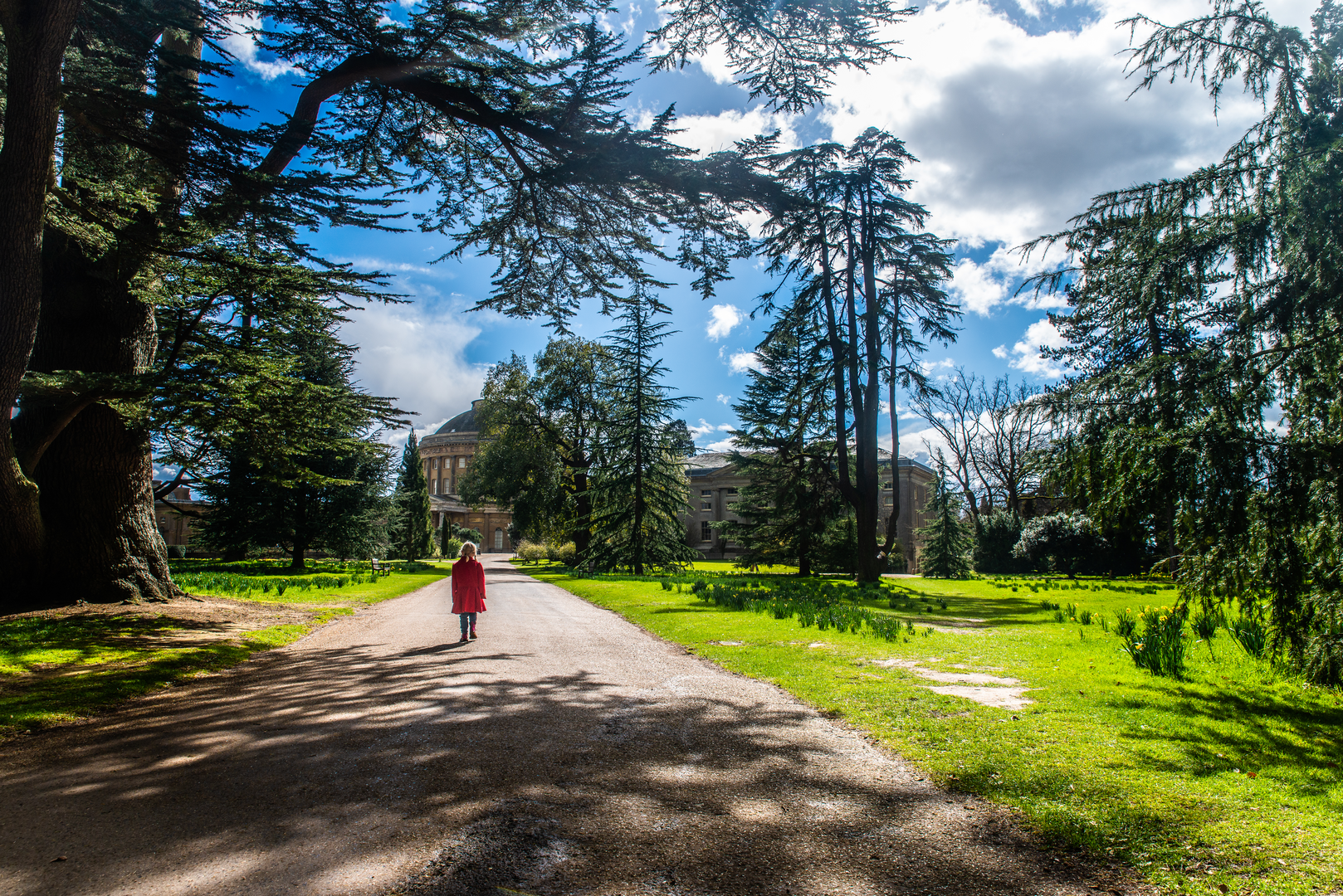 An image depicting the trail Ickworth Monument Multi-use Trail and its surrounding area.
