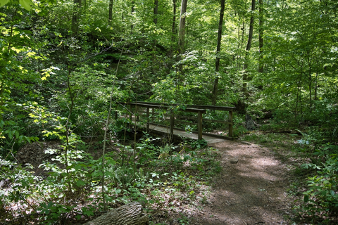 Hemlock Cliffs Scenic Trail