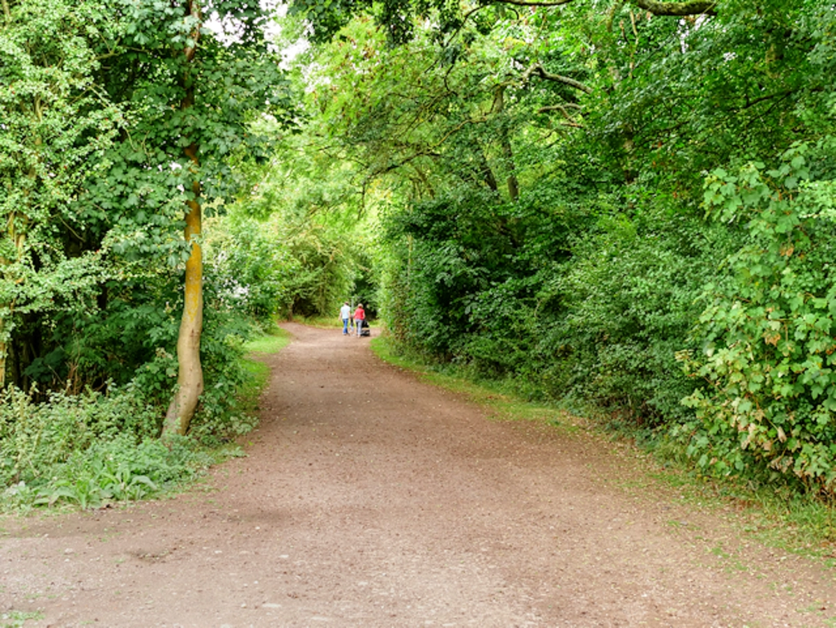 Irchester Country Park Loop
