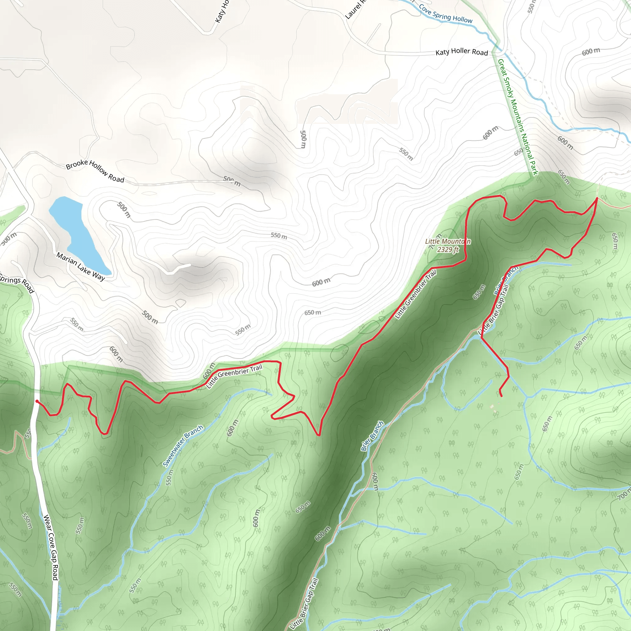 Little Greenbrier and Little Brier Gap Trail mobile static map