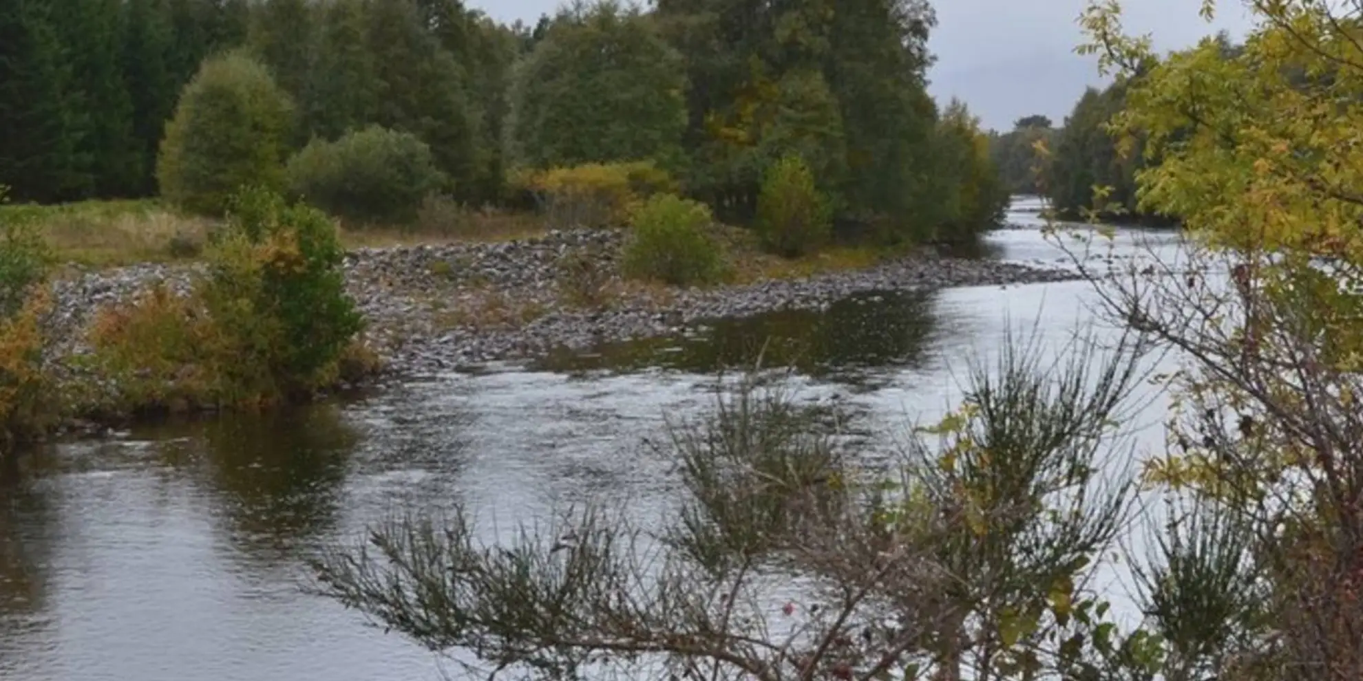 An image depicting the trail Laggan Path - Spruce and Squirrel Trail and its surrounding area.