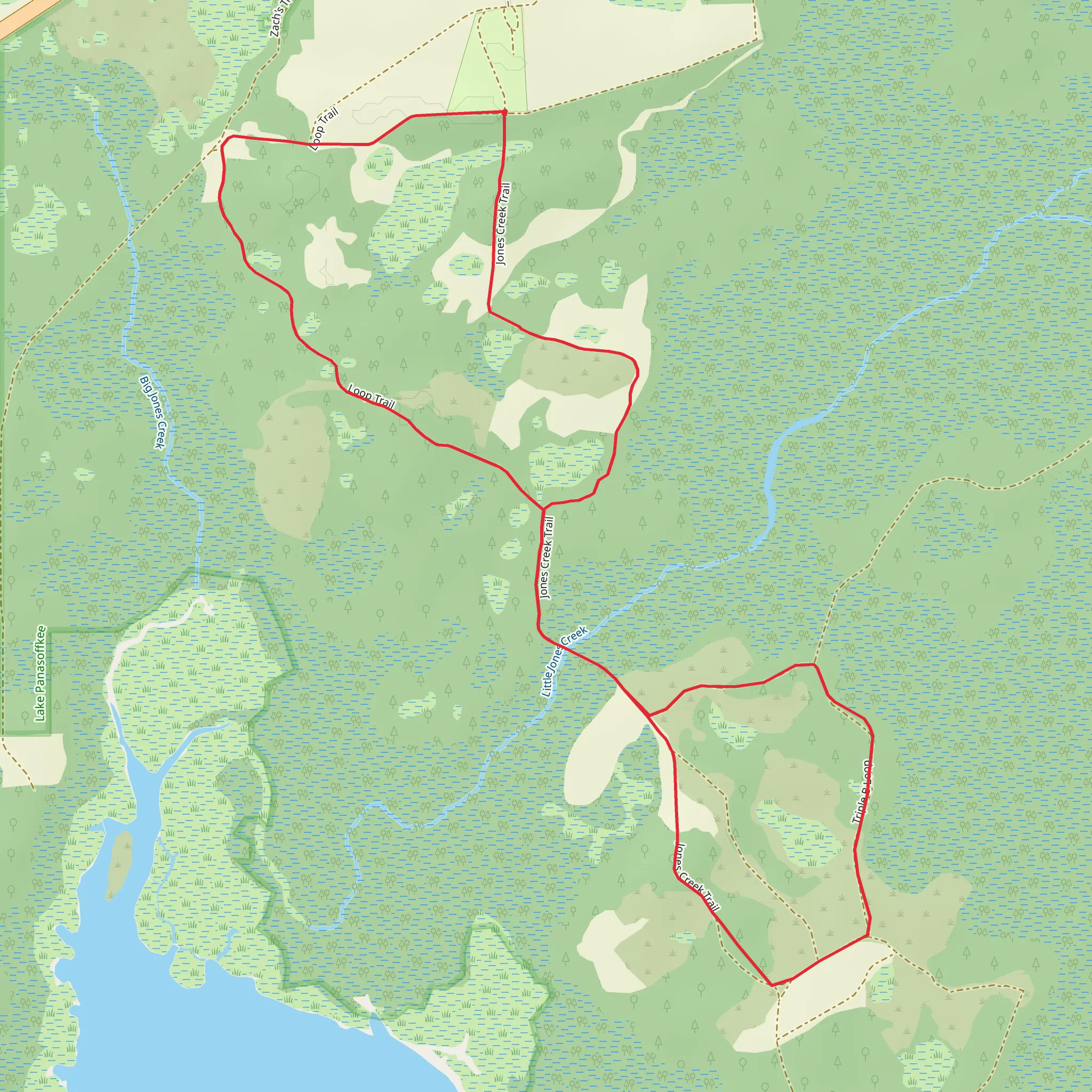 Little Jones Creek via Lake Panasoffkee Loop mobile static map