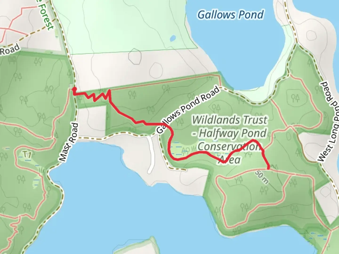An image depicting the trail Wildlands Trust - Halfway Pond Conservation Area Trail and its surrounding area.