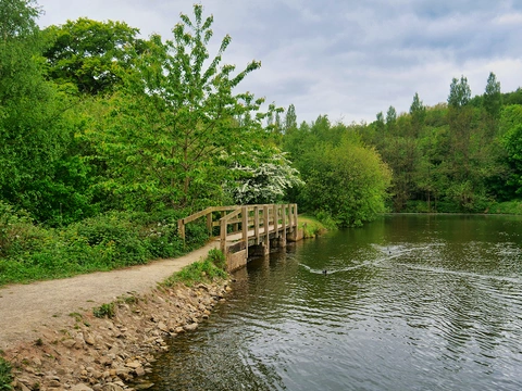Waterdale and Livia Forest Bank Loop