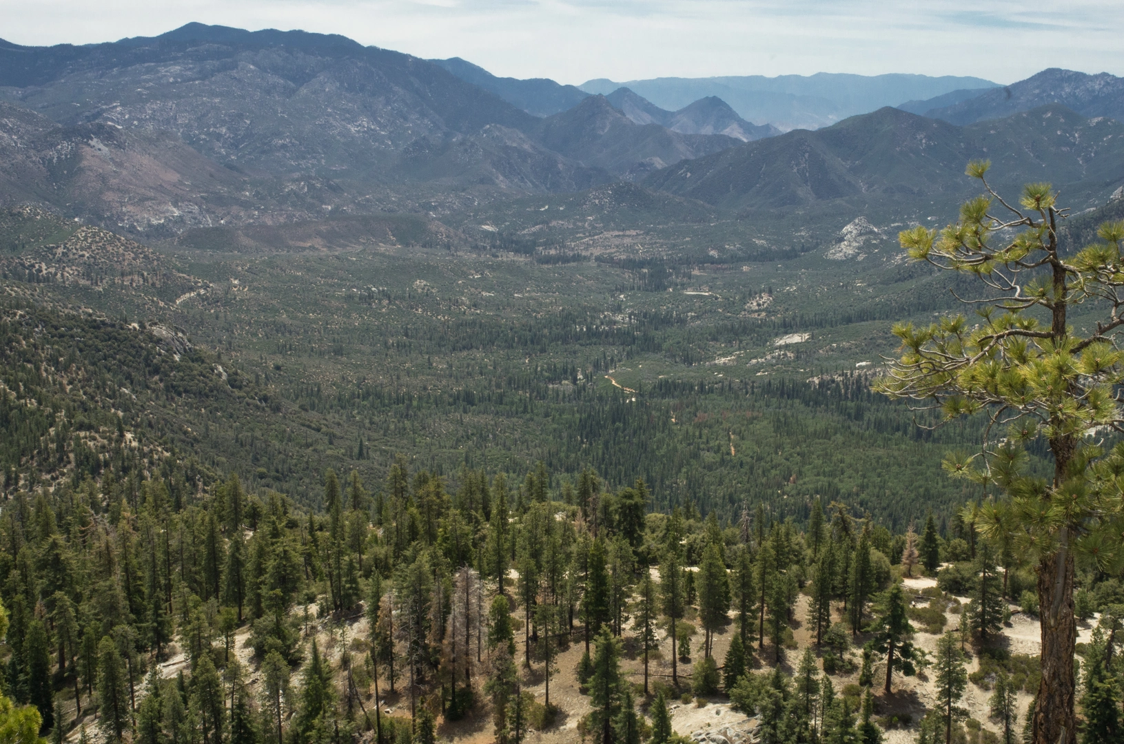 An image depicting the trail Lloyd Meadow Road West Walk and its surrounding area.