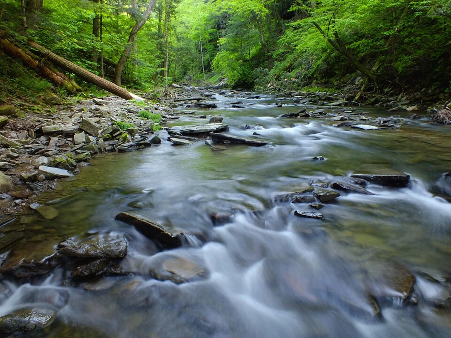 An image depicting the trail Summit Trail - Red and Border Loop Trail and its surrounding area.