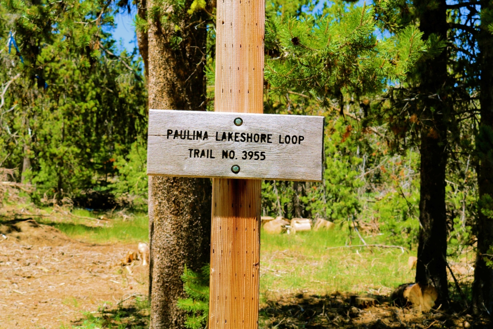 An image depicting the trail Paulina Falls Trail and its surrounding area.