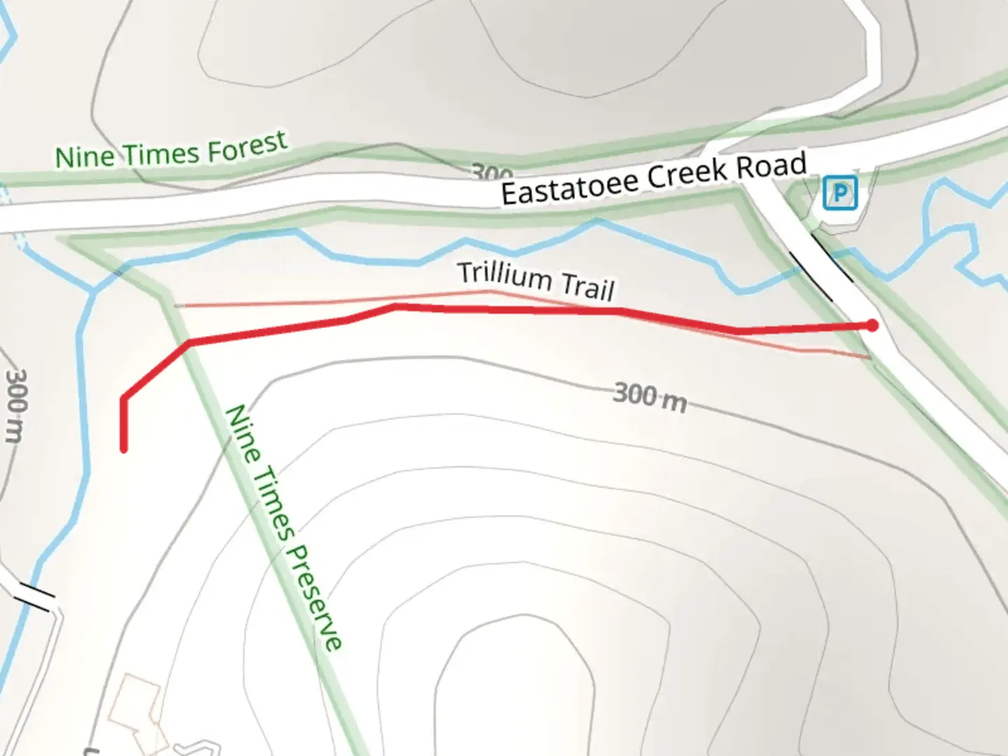 An image depicting the trail Little Eastatoe Creek and its surrounding area.