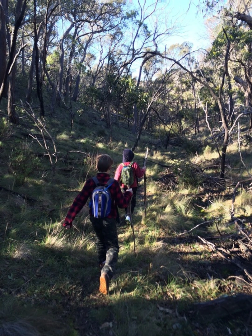 An image depicting the trail Ingliston Gorge Sloss Gully Trail and its surrounding area.