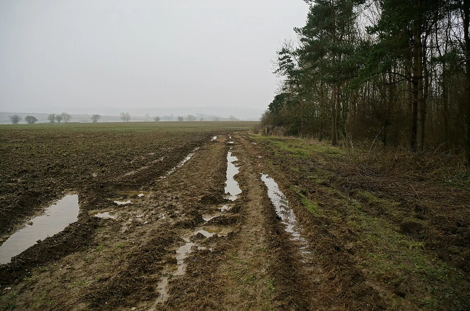 An image depicting the trail Pocklington, Millington and Givendale Circular Walk and its surrounding area.