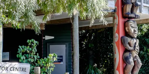 An image depicting the trail Exhibition Drive to Arataki Visitor Center and its surrounding area.
