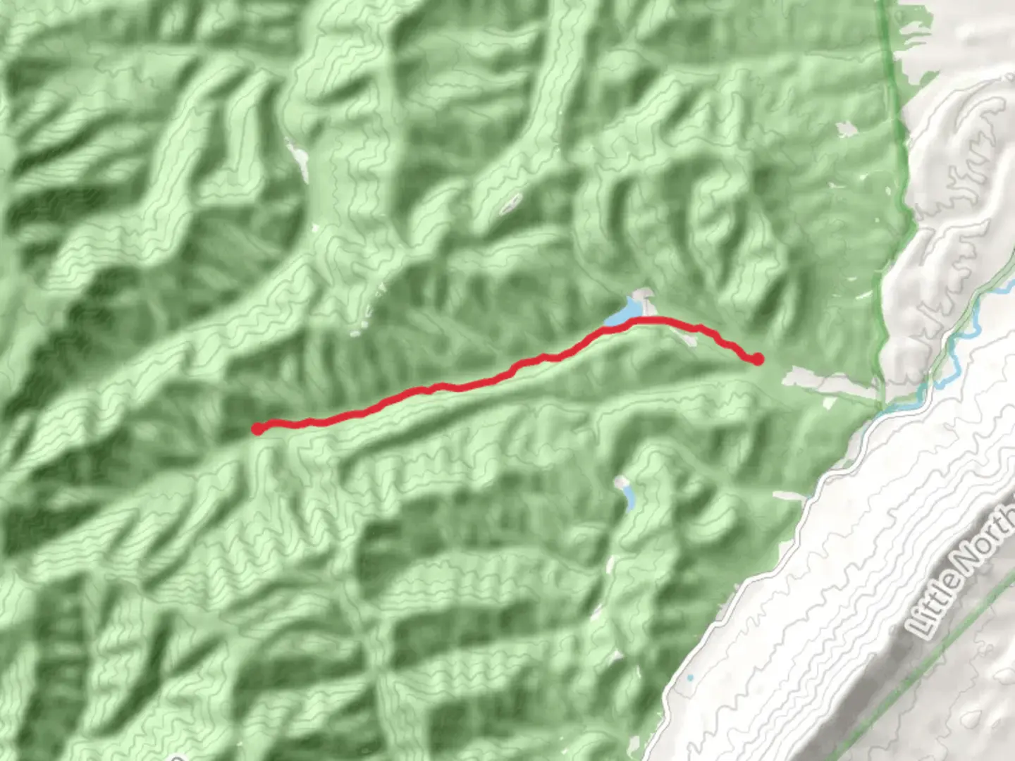 An image depicting the trail Slate Lick Trail and its surrounding area.
