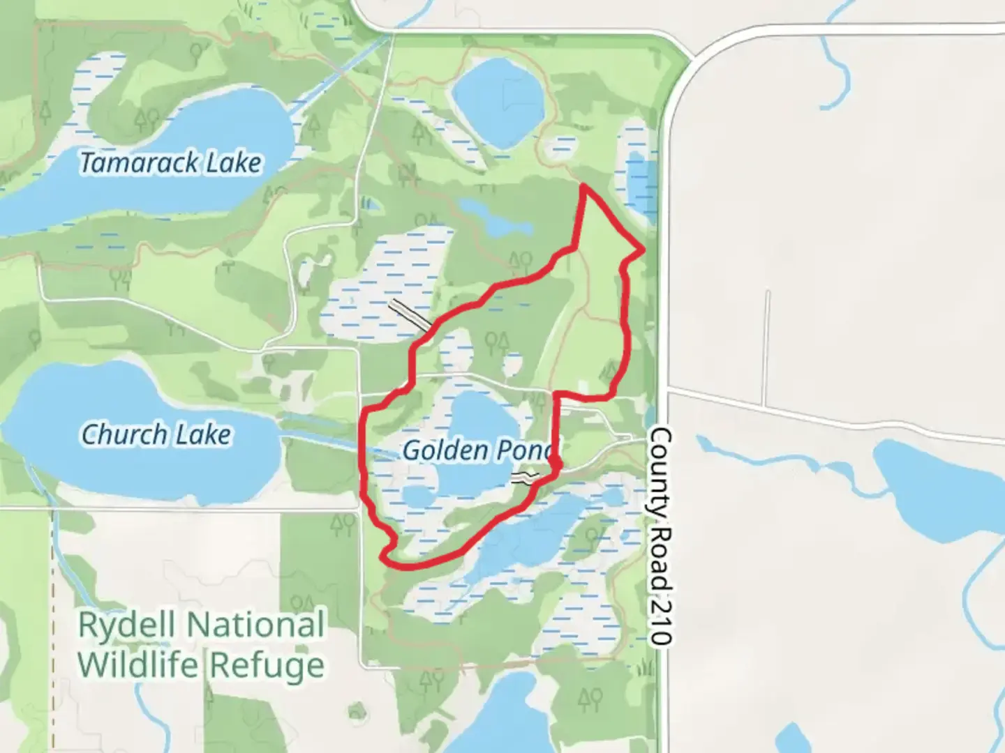 An image depicting the trail Golden Pond Loop Trail and its surrounding area.