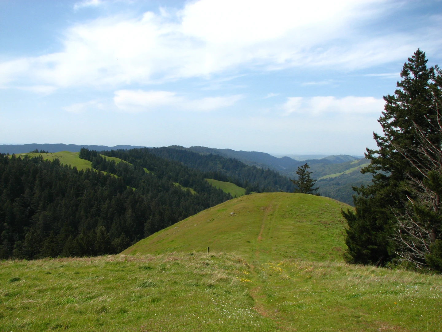 An image depicting the trail Cataract Falls and its surrounding area.