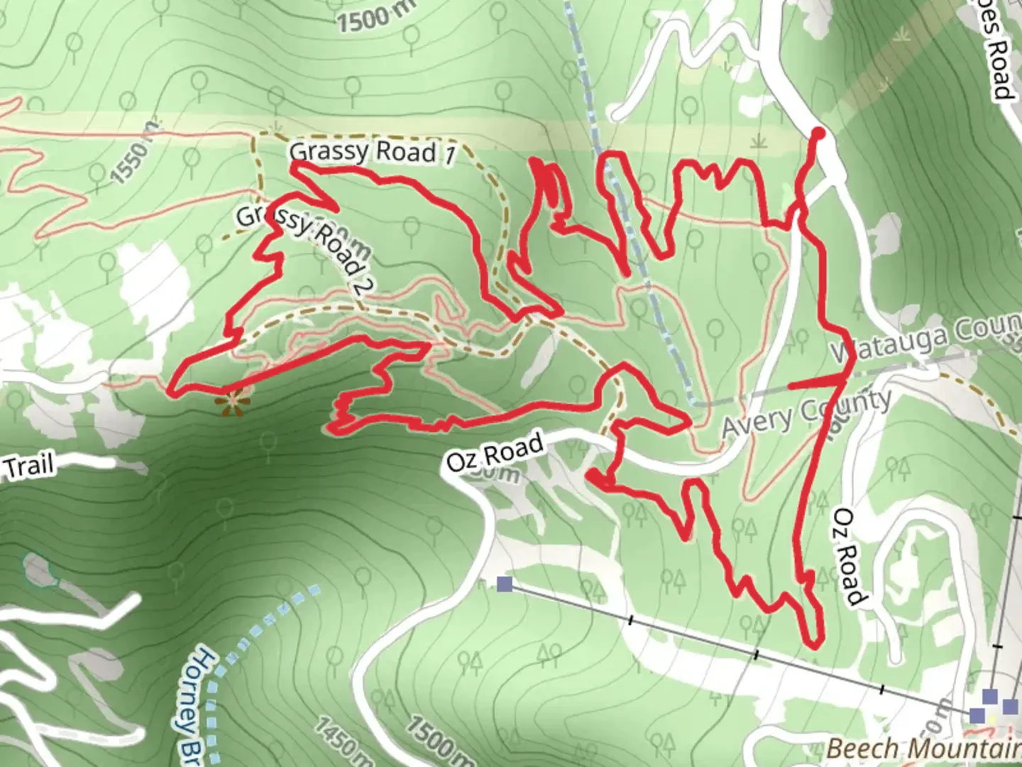 An image depicting the trail Jackalope's, Northview and Oz Forest Run Loop Trail and its surrounding area.