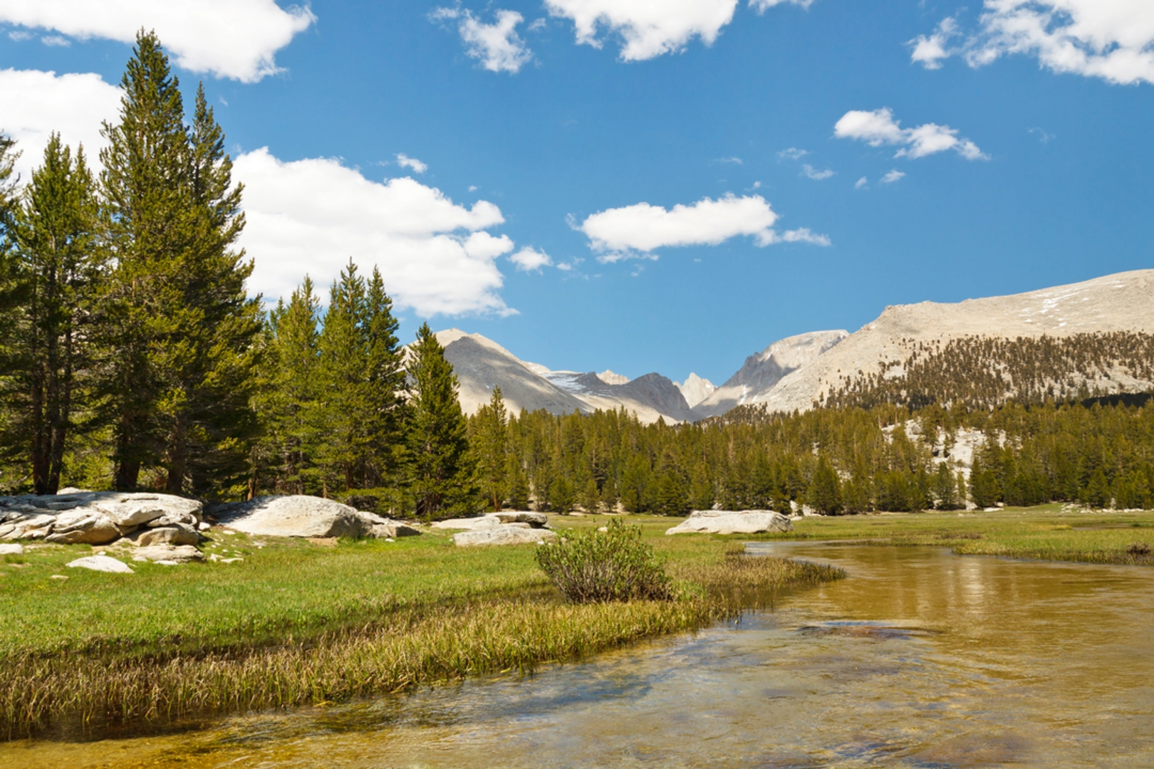 An image depicting the trail Crabtree, Bell Meadow, and Blackbird Lake Trail and its surrounding area.