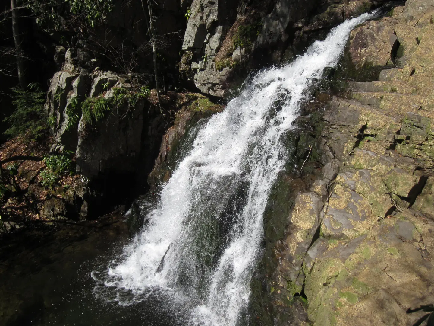 An image depicting the trail Hawk Falls and Orchard Loop Trail and its surrounding area.