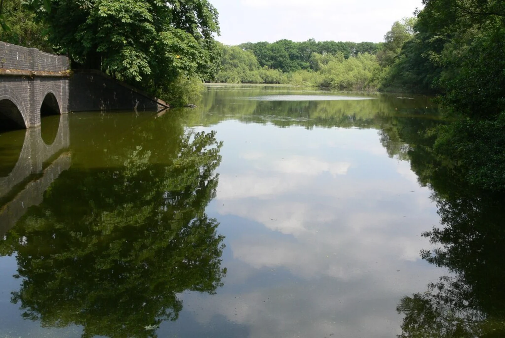 An image depicting the trail Blackbrook Reservoir Walk and its surrounding area.